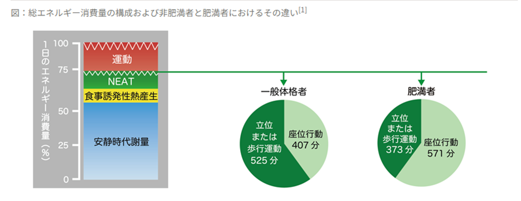 総エネルギー消費量の構成および非肥満者と肥満者における違いのグラフ画像